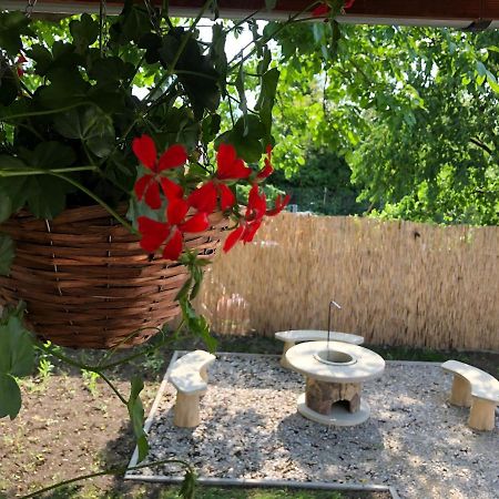 Mormota Vendeghaz Daire Mezőkövesd Dış mekan fotoğraf